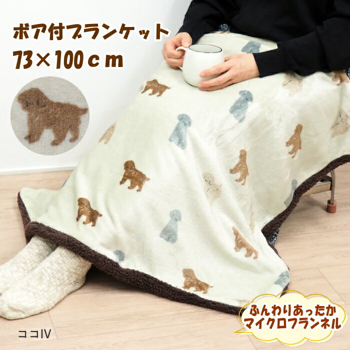 [] [ IV 837072-IV ե󥺥ҥ ] ֥󥱥å ɨݤ Ҥݤ 襤 饯 ⥳⥳ ̲   ٥ӡå...