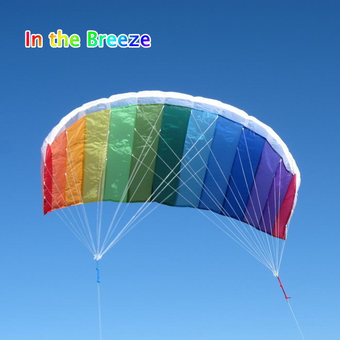 [あす楽] カイト 凧 たこ kite タコ スポーツカイト 2973 62" Sport Air Foil in the breeze インザブリーズ 外遊び アウトドア レジャー ピクニック 公園 キャンプ キッズ スカイスポーツ 【あす楽対応】