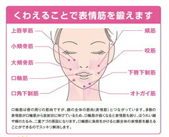 フェイシャルリフトアトワンスα ビギナーズセット ピンク オムニ 正規品 口角 上げる グッズ