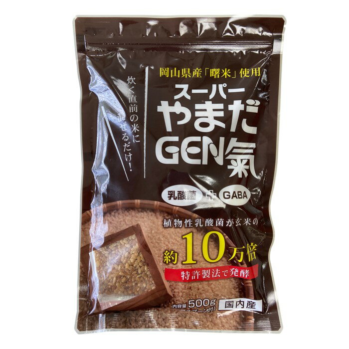 発芽玄米 ニュー・サイエンス スーパーやまだGEN氣 500g 軽量スプーン付き 国産 玄米 発酵 植物性乳酸菌 GABA
