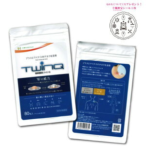 簡単健康法ツインQ TWinQ ミサト工業 十種神宝(とくさのかんだから)シール1枚プレゼント メール便配送