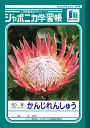 ポイント UP 期間限定 ◆◆ジャポニカ学習帳　漢字練習50字　JL-48