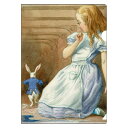 A5 仕切付ファイル クリアファイル THE MACMILLAN ALICE 白ウサギとアリス 211376 カミオジャパン kamiojapan ポイント UP 期間限定 お買い物マラソン お買い得商品