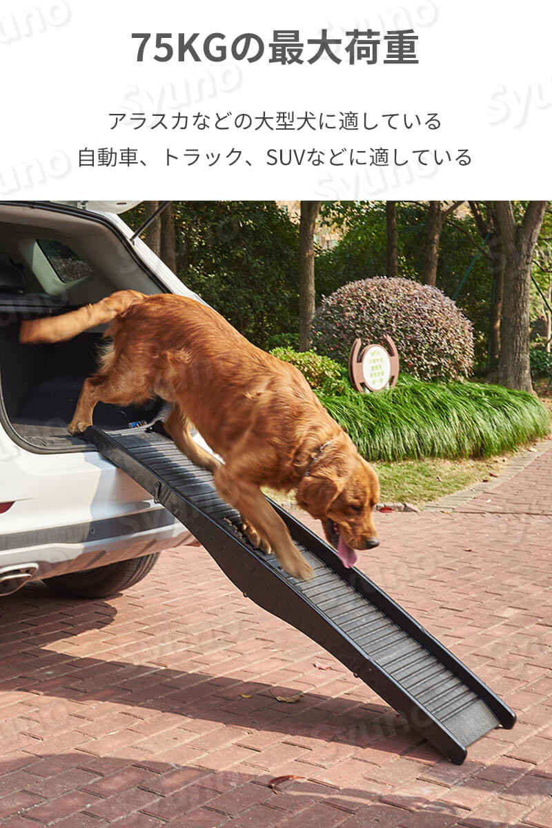 お買い物マラソン【P5倍】大型犬専用 プラスチック屋外犬はしご suv車汎用 折りたたみ はしご 乗車 降車 ペット 折りたたみ階段 車 犬用補助はしご 大型犬台階段 ペットの階段 省スペース 収納に便利 ペット用 踏み台 ドッグスロープ ドッグステップ 犬 犬用階段