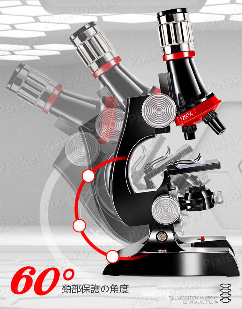 ���㤤ʪ�ޥ饽���P5�ܡۤ����͡���¹����Υץ쥼��Ȥ˺�Ŭ���ؽ��� 1200x ������ �����ץ쥤 �¸� �ΰ� ���� ��ʪ��������ȿ�͸����� �Ҷ��κ�����ʳؤؤζ�̣���Ƥ� �ޥ������������� �Ҷ��� ������ ����� �⹻�� �鿴�� ��ͳ���� ���ꥹ�ޥ� ���ؽˤ�