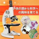 お買い物マラソン【5倍】お子様、お孫さんのプレゼントに最適!学習用 顕微鏡 640倍 実験 知育 理科 生物顕微鏡と反射顕微鏡 子供の頃から科学への興味を育てる...
