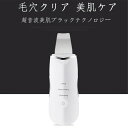 お買い物マラソン【P5倍】ウォーターピーラー 超音波美顔器 美顔器 ピーリング 超音波ピーリング イオン導入 EMS スキンケア 毛穴洗浄 クレンジング 毛穴ケア ニキビ 角栓 角質 たるみ 皮脂ケア 美肌 超音波美顔器 ピーリング 毛穴クリーナー 美肌(4)