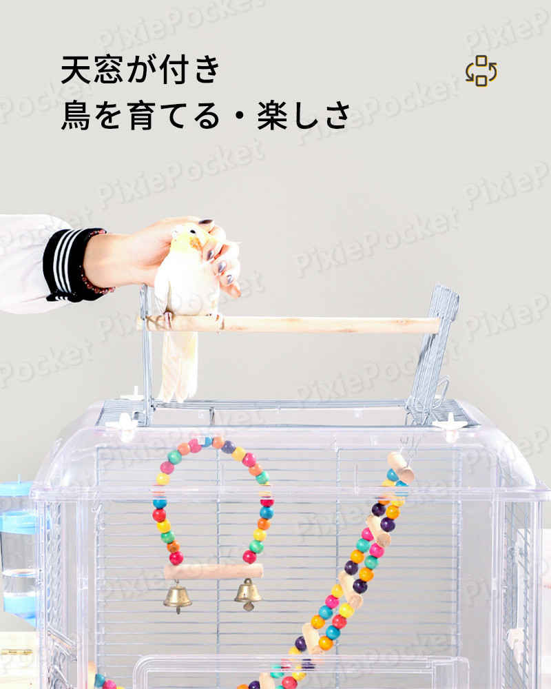 ���㤤ʪ�ޥ饽���P5�ܡ�48 * 35 * 55cm �緿 Ļ���� �ѥΥ��Ļ���� ʣ������ ����� ���� �����ॱ���� ��° ��̩ �˶� ��ư��ǽĻ���� �ڥåȥ����� Ļ��ƨ�������ӵ��Τ��ɻ� Ļ���� Ļ���� Ļ�ѥ����� Ļ���� Ļ���� �緿������ ���饱���� ��ưʪ��