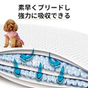 【P5倍】最新改良 極薄2MMで通気性も抜群 薄型 ペット専用シーツ 吸収力抜群 尿が漏れない ペットシーツ レギュラー ペット シート シーツ ペットシート ...