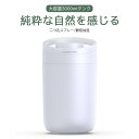 お買い物マラソン【P5倍】上部給水式 加湿器 3000ml 大容量 ダブルノズル 加湿器 超音波 卓上 ハイブリット加湿器 30時間連続使用 静音加湿 持ち運びに便利 上から給水 定時電源オフ 空焚き防止 ナノ繊細ミスト 乾燥対策 空気浄化機 静音 省エネ 節電 秋冬用