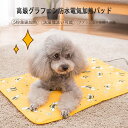 【P5倍】【大きいサイズ:40x60cm】グラフェン防水電気加熱パッド 滑り止め布 インテリジェント加熱 3段温度調整 赤(50℃)白(40℃)青(30℃)防寒...