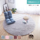 お買い物マラソン【P5倍】丸い絨毯 洗える ラグ 円形 洗える ラグ 円形ラグ 直径120cm 丸型 ラグマット 滑り止め付 絨毯 マット 北欧 カーペット リビング 春 夏 用 ホットカーペット対応