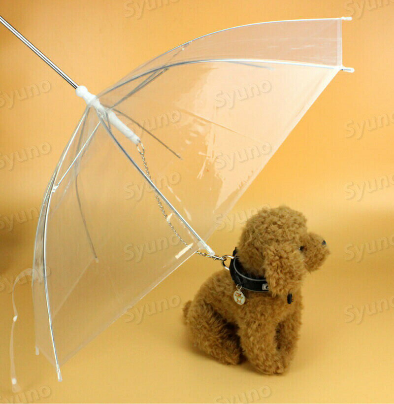 ���㤤ʪ�ޥ饽���P5�ܡۥڥå��ѻ� ǭ�ѻ� ���ѻ� ����å� �ɥå� �ڥå����� �쥤�󥰥å� ����֥�� ���ѻ� ���� Ʃ���������˻��� �꡼����³ ���������դ� Ķ���� �����ɻ� ���ߤ���� �ڥå��� �� �����������淿���ޤǡ��ڥåȥ���֥�� �� ��