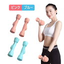 お買い物マラソン【P5倍】小型ダンベル 1.5KG カラーダンベル 筋トレ エクササイズ ダイエット フィットネス 女性用 男性用 筋力トレーニング 2色 収納...
