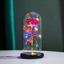 【LED バラ プレゼント 枯れないバラ】インテリア 雑貨 薔薇 ローズ 花 ライト イルミネーション 飾り おしゃれ ガラスドーム 光るバラ 美女と野獣 置物...