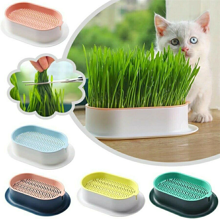 容器 3pcs　猫草栽培鉢皿 鉢台 鉢植え台　猫草プランター　植物シャーレ　プラスチックキャットニップ..