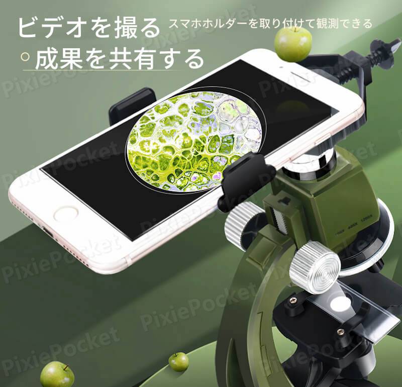 ���㤤ʪ�ޥ饽���P5�ܡ�1200�ܤι������� ������ ������� �Ҷ� ��ʪ�� �ʳ� �¸����� �鿴�Ը��� �Ҷ� �ΰ� �ʳض����Ѵ�� �ӥǥ��򻣤� �������������� ���إ�� �������ٸ����� ��ʪ ưʪ ����ʪ ��ͳ���� ���ؽ� ´��ˤ� �����Ѹ��ظ����� �ץ쥼��Ȥ˺�Ŭ