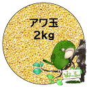 アワ玉　2kg×1 ：鳥の餌 インコ えさ その1