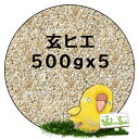 玄 ヒエ　500g×5 ：鳥の餌 インコ えさ その1