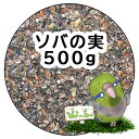ソバの実 （蕎麦の実）　500g×1 ：鳥の餌 インコ えさ その1