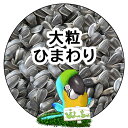 大粒 ひまわりの種 :鳥の餌 インコ えさ
