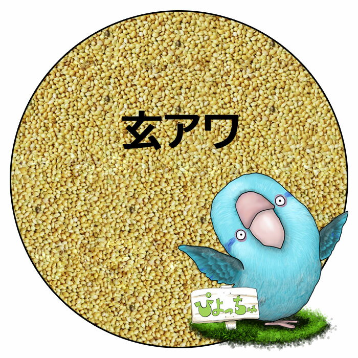 楽天市場】無農薬 米ぬか(エサ|鳥用品):ペット・ペット 楽天市場】無農薬 米ぬか(エサ|鳥用品):ペット・ペット