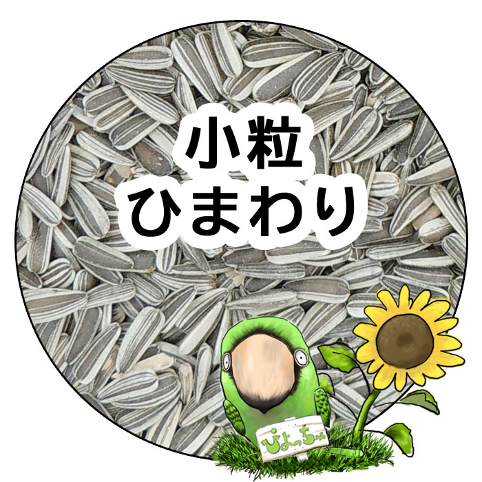 【MIRAI-UPオリジナル】MIRAIブレンド セキセイ・パラキート用1kg 鳥のえさ