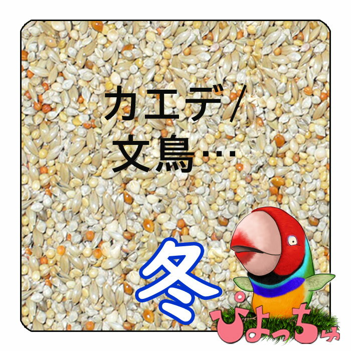 楽天市場】エッグフード 5kgの通販