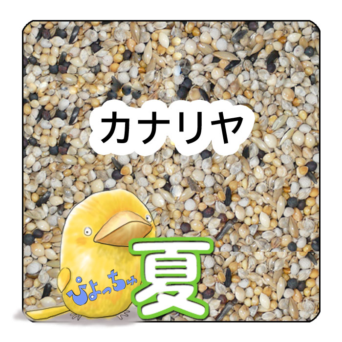 ぴよっちゅ　カナリヤ夏用ブレンド ：　鳥の餌　えさ