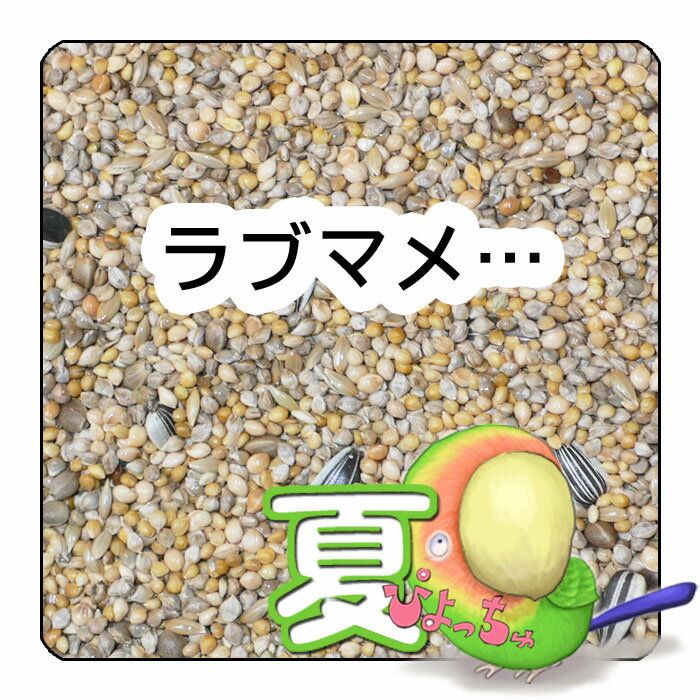 ぴよっちゅ　ラブバード・マメルリハ・中型インコ夏用ブレンド：鳥の餌 インコ えさのサムネイル
