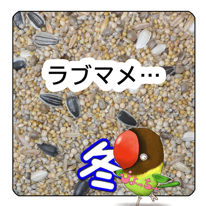 ウイットモーレン エッグフード モイスト イエロー 5kg