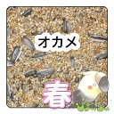 ぴよっちゅ オカメ春用ブレンド :鳥の餌 インコ えさ