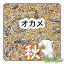 ぴよっちゅ　オカメ秋用ブレンド ：鳥の餌 インコ えさ