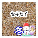 ぴよっちゅ セキセイ冬用ブレンド :鳥の餌 インコ えさ