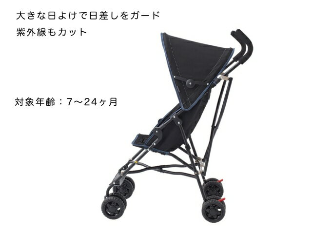 バギーfanネオＤの商品画像