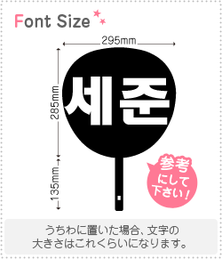 ハングル切り文字セット　【セジュン(SeJun)】1文字のサイズ：L(140×140mm)素材：ホログラムシート・蛍光シート