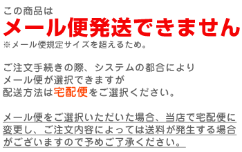 【ネコポス発送不可】日本産　ジャンボうちわ(黒・骨のみ)