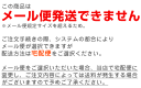 【ネコポス発送不可】日本産　ジャンボうちわ(白・骨のみ)