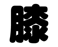 切り文字　【膝】サイズ：SS(40×40mm)素材：カッティングシート
