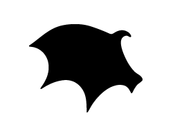 ڤʸڱ3ۥSS(4040mm)Ǻࡧۥॷȡָ