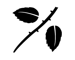 切り文字　【薔薇の茎1（バラの茎1）】サイズ：SS(40×40mm)素材：カッティングシート
