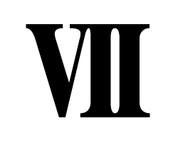 切り文字　【VII(7)】サイズ：SS(40×40mm)素材：カッティングシート