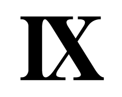 切り文字　【IX(9)】サイズ：S(80×80mm)素材：カッティングシート