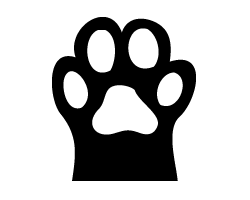 切り文字　【猫の手1】サイズ：LL(200×200mm)素材：ホログラムシート・蛍光シート(3)