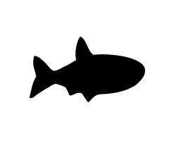 ڤʸڵ8ۥLL(200200mm)Ǻࡧۥॷȡָ