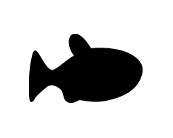 ڤʸڵ10ۥSS(4040mm)Ǻࡧۥॷȡָ