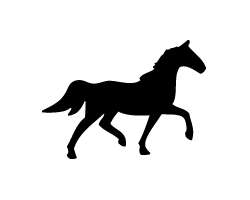 ⤸ѥ顡󥵡ȱ礦㤨ڤʸ1ۥ3L(祵Ǻࡧåƥ󥰥ȡפβǤʤ400ߤˤʤޤ