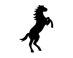 ⤸ѥ顡󥵡ȱ礦㤨ڤʸ3ۥSS(4040mmǺࡧåƥ󥰥ȡפβǤʤ100ߤˤʤޤ