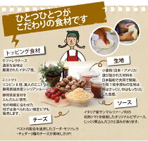 富士の国のピザ選べる5枚セット冷凍ピザ
