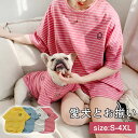 【5%オフ 7/18 23:59まで】犬 服 ペットと飼い主さんセット ドッグウェア お揃い 親子服 親子お揃い Tシャツ ペットと飼い主お揃い 小型犬用 中型...
